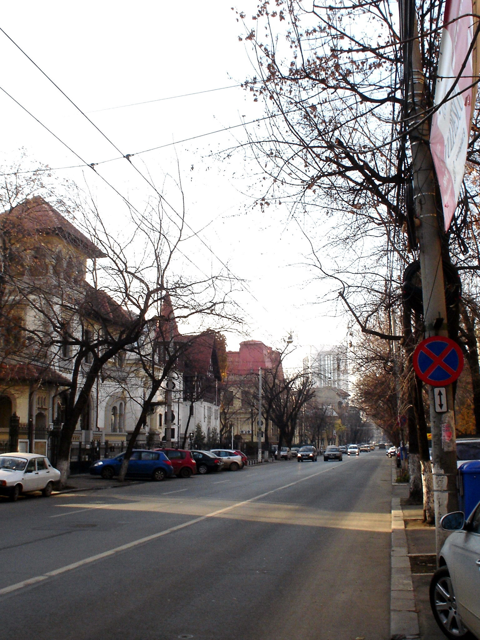 Străzile Bucureştilor – mică istorie sentimentală în imagini (XLII). Bulevardul Dacia/ de Dr. Alexandru Popescu