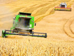 Agricultura a ajuns în mai la o absorţie de 5 miliarde de euro din fonduri UE
