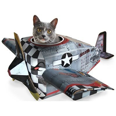 Avion de jucărie pentru pisici, Amazon.com, 33,95 dolari
