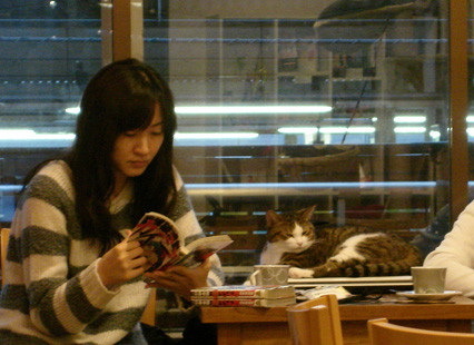 Cafenele cu pisici şi cameriste, automate cu umbrele şi îmbăieri publice. Citiţi aici câteva dintre cele mai ciudate obiceiuri din Tokyo   