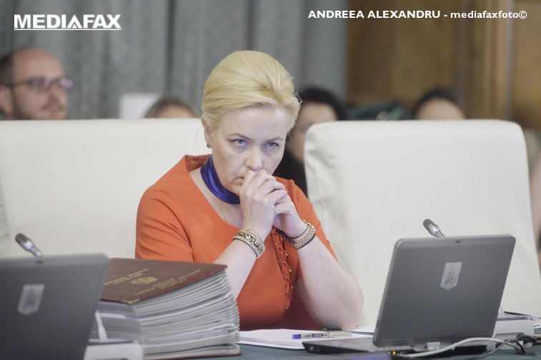 Imaginea articolului Carmen Dan, înaintea CExN al PSD: Guvernul este politic; aşteptăm decizia partidului