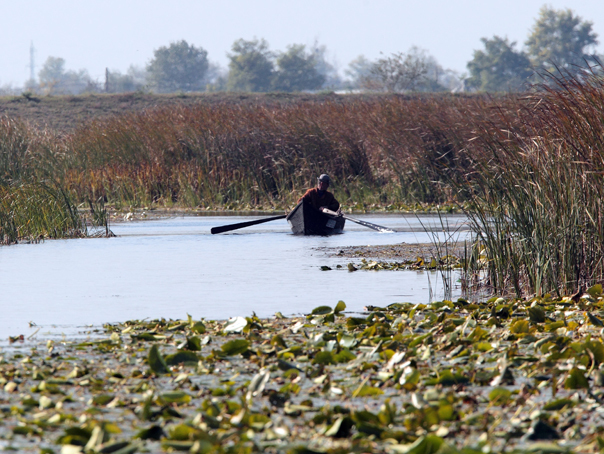 Imaginea articolului O nouă lege oferă 50% reducere la salubrizare pentru cei care locuiesc în Rezervaţia „Delta Dunării”