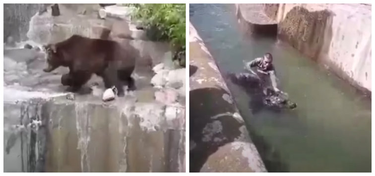 Imaginea articolului Imagini cu impact emoţional: Un bărbat băut a sărit în cuşca unui urs de la Zoo şi a încercat să-l înece. Ce s-a întâmplat apoi: VIDEO