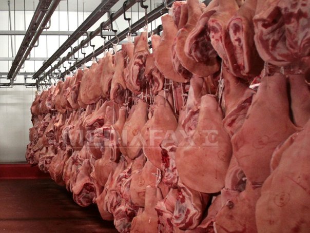 Imaginea articolului Irimescu, în Germania: România are carne sigură pentru consum, Olanda a confirmat că marfa este bună
