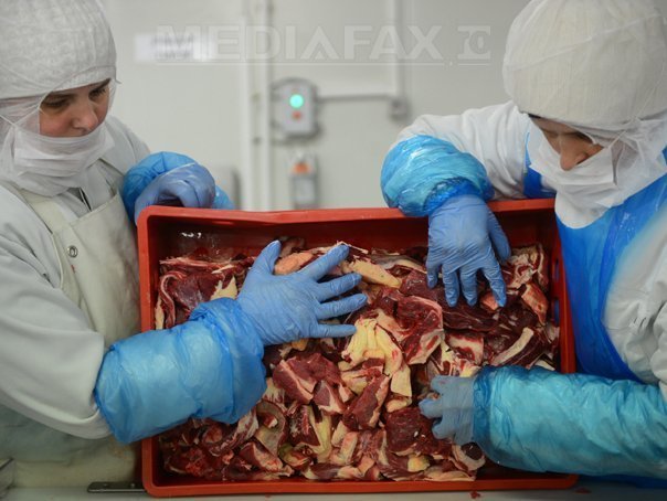 Imaginea articolului O parte din carnea găsită la firma din Blaj este de cal