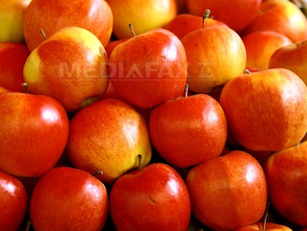 Imaginea articolului Producţia de mere aduce 330 milioane de euro în economie