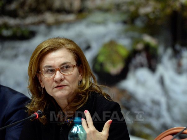 Imaginea articolului Ministrul Turismului, la prezentarea bilanţului: Nu am capitolele bugetului pe 2014 la mine, vin de la Mioveni