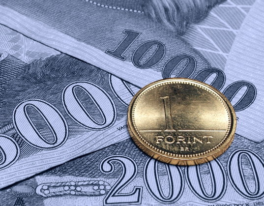 Imaginea articolului Ungaria nu va încerca să apere forintul, deşi a atins minimul ultimilor doi ani faţă de euro