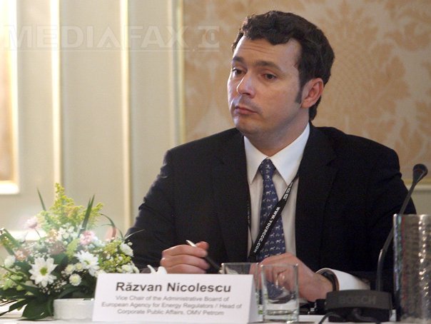 Imaginea articolului Răzvan Nicolescu, avizat de comisiile parlamentare în funcţia de ministru delegat pentru Energie