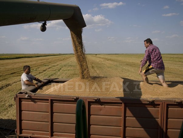Imaginea articolului România şi Bulgaria vor profita de restricţiile impuse de Rusia exporturilor de grâu