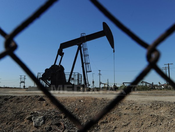 Imaginea articolului OPEC: Producţia de petrol din SUA a putea scădea până la finele anului