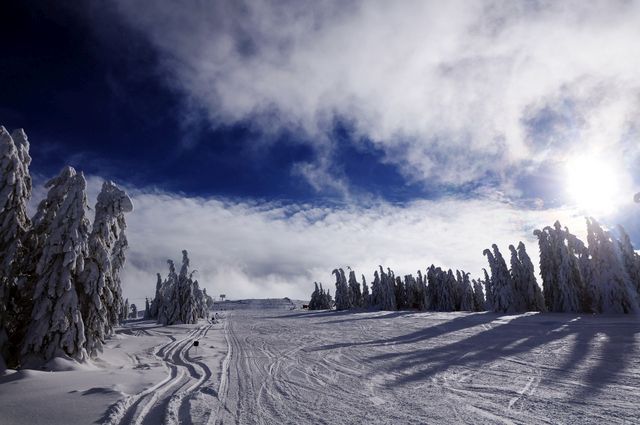 Imaginea articolului Zăpada în Apuseni: Sute de turişti, aşteptaţi la schi. Condiţiile de pe pârtii | FOTO