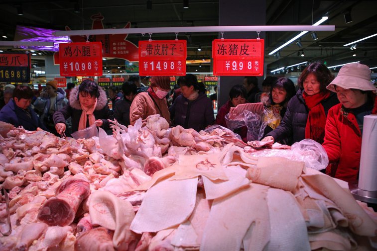Imaginea articolului Pesta porcină africană face ravagii în Asia. Care sunt cele mai afectate ţări