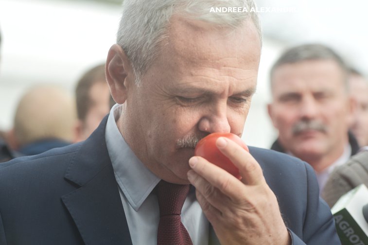 Imaginea articolului PSD acuză PNL că a pus cruce Programului Tomata: Spunem adio roşiilor româneşti