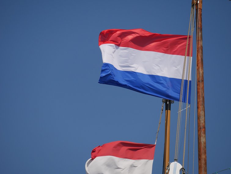 Imaginea articolului Economia olandeză va înregistra o scădere record în 2020