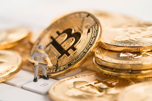 cum să crească bitcoins