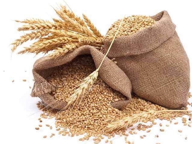 Imaginea articolului Egipt, Arabia Saudită sau Filipine sunt principalele destinaţii în care ajung cerealele româneşti