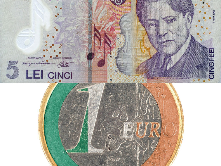 Imaginea articolului 75% dintre români vor trecerea de la Leu la moneda Euro. Estimarea BNR pentru România
