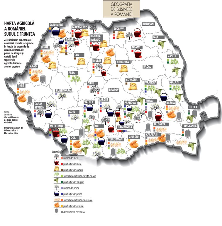 Imaginea articolului Cum arată harta agricolă a României? Iată la ce culturi stă cel mai bine fiecare regiune
