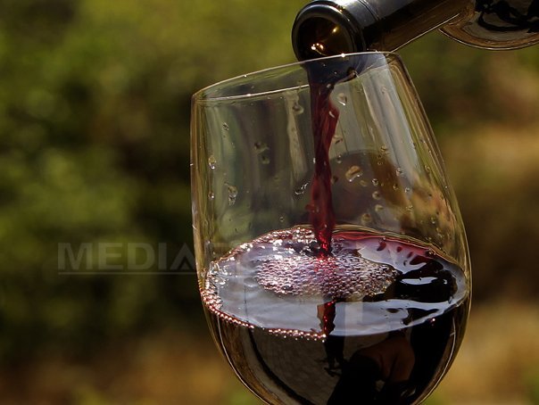 Imaginea articolului Analiză ZF: România a exportat 17,4 milioane de litri de vin anul trecut. Principalii cumpărători