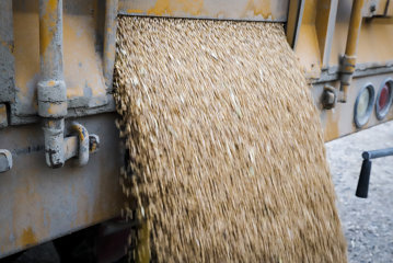 Exporturile de cereale ale Ucrainei prin Polonia şi România se confruntă cu blocaje - oficial