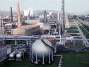 Imaginea articolului Chimcomplex închide temporar producţia la platforma Borzeşti din cauza preţurilor la energie