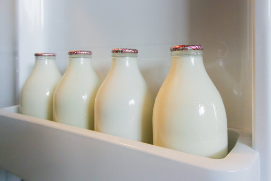 Imaginea articolului Asociaţia Forţa Fermierilor: Reducerea preţului laptelui la raft, suportată de fermieri 