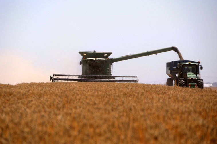Imaginea articolului Criza cerealelor: Ameninţarea la adresa securităţii alimentare a lumii, reînnoită