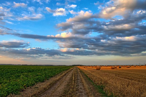 Imaginea articolului Temperaturile extreme afectează agricultura din România 