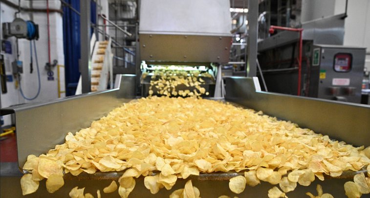 Imaginea articolului PepsiCo: investiţii de 100 milioane de euro în fabrica de snackuri din Popeşti-Leordeni