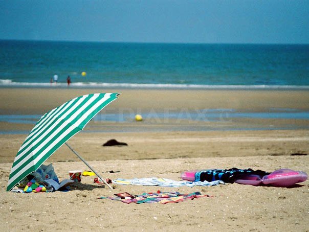 Imaginea articolului Udrea: Lipsa alternativelor de agrement face ca turiştii să vină pe litoral doar dacă este soare