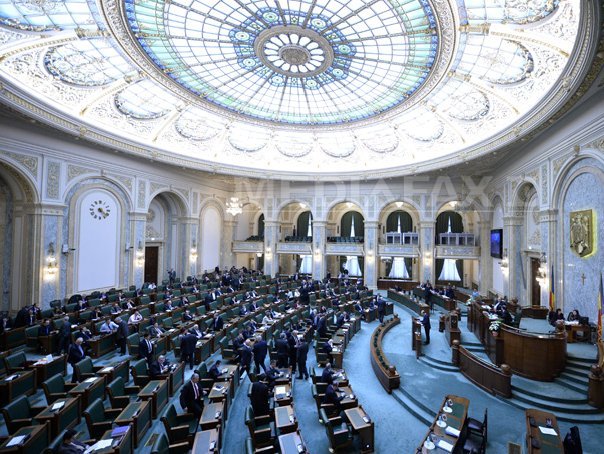 Imaginea articolului PNL cere PSD deblocarea în Senat a Ordonanţei 55/2014 privind migraţia aleşilor locali