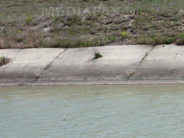 Imaginea articolului Dăncilă: Adoptăm o hotărâre pentru reabilitarea unui tronson de 14 km din canalul Siret-Bărăgan
