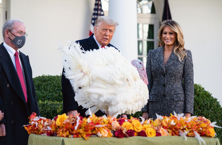 Imaginea articolului Donald Trump a graţiat un...curcan. Liderul de la Casa Albă a participat la ceremonia de Ziua Recunoştinţei