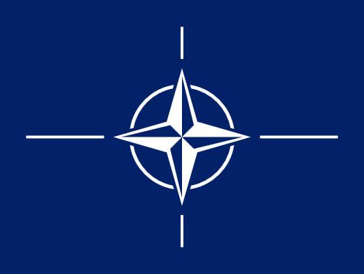 MAE lansează campania „Born in NATO”