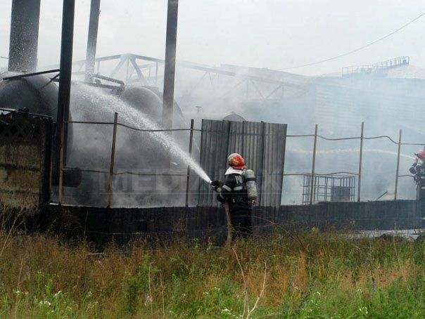 Imaginea articolului Cluj: O femeie a murit şi 120 de pisici şi câini au ars într-un incendiu la un adăpost de animale