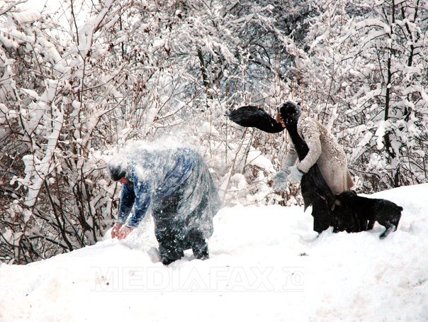 Imaginea articolului Bătaie pornită de la un bulgăre de zăpadă, la Suceava