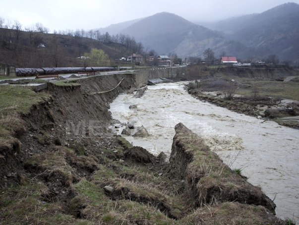 Imaginea articolului Lucia Varga: Inundaţiiile sunt cauzate de defrişările necontrolate