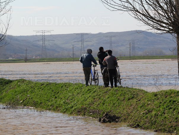 Imaginea articolului Apele Române: 500 ha teren agricol şi o fermă, inundate din cauzei unei breşe într-un dig pe Jiu