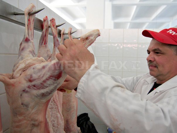 Imaginea articolului REPORTAJ: Cât costă carnea de miel în pieţele şi magazinele din Bucureşti