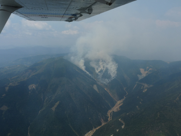 Imaginea articolului INCENDIU  de pădure în Borşa: Sute de pompieri, jandarmi şi silvicultori au participat la izolarea focului