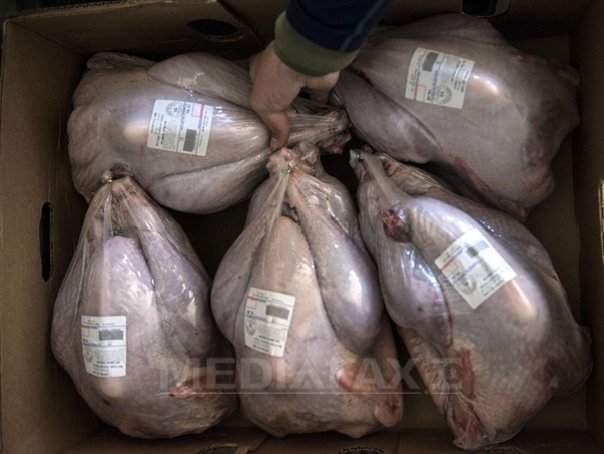 Imaginea articolului IGPR: 147 tone de carne de pasăre din Olanda, ridicate după controale pentru combaterea evaziunii