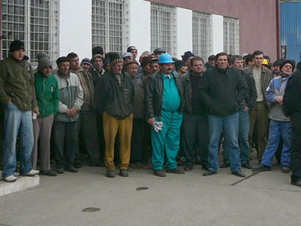 Imaginea articolului Mehedinţi: 500 de angajaţi din cadrul RAAN vor rămâne fără locuri de muncă - sindicate