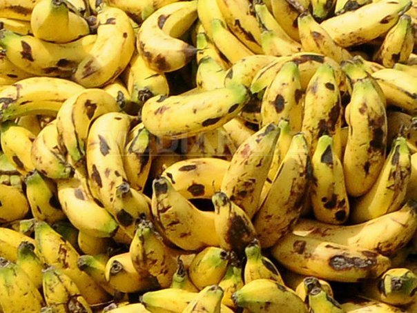 Imaginea articolului Arad: Peste 44 de tone de banane, destinate unei firme cu activitate suspendată, confiscate