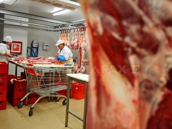 Imaginea articolului Aproximativ 2,5 tone de carne expirată, găsite într-o unitate de procesare din Mehedinţi