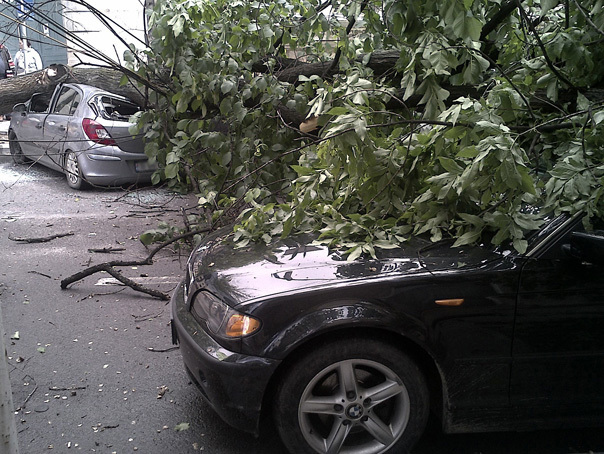 Imaginea articolului Locuinţe inundate, maşini avariate şi copaci rupţi, în urma unei furtuni în Medgidia