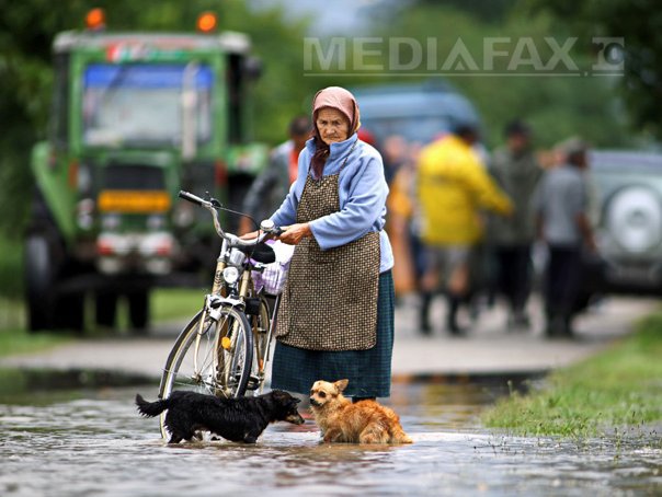 Imaginea articolului Timiş: Peste patru sute de localnici din oraşul Gătaia, evacuaţi în urma inundaţiilor - GALERIE FOTO