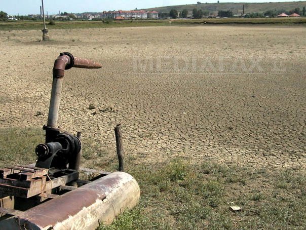 Imaginea articolului Zeci de mii de hectare de culturi agricole din judeţul Timiş, afectate de secetă