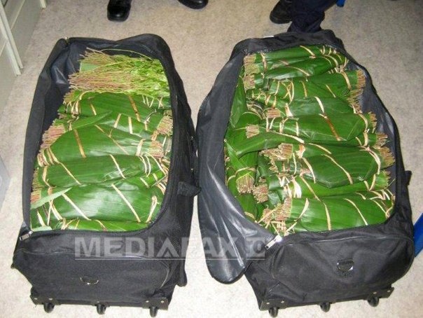 Imaginea articolului CAPTURĂ de droguri, pe Aeroportul Otopeni: 36 kilograme de "khat", găsite în bagajele unui român - VIDEO
