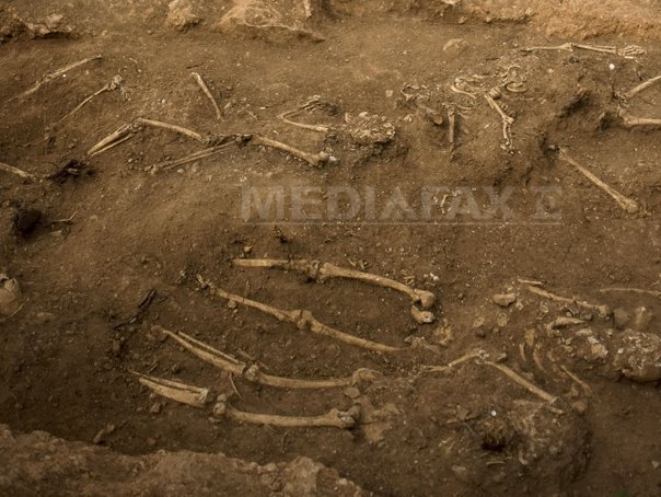Imaginea articolului Fragmente osoase umane, vechi de 30 de ani, descoperite în Parcul Bordei
